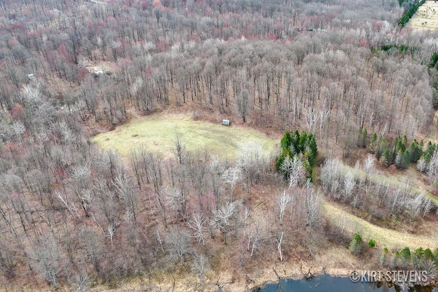 birds eye view of property featuring a wooded view