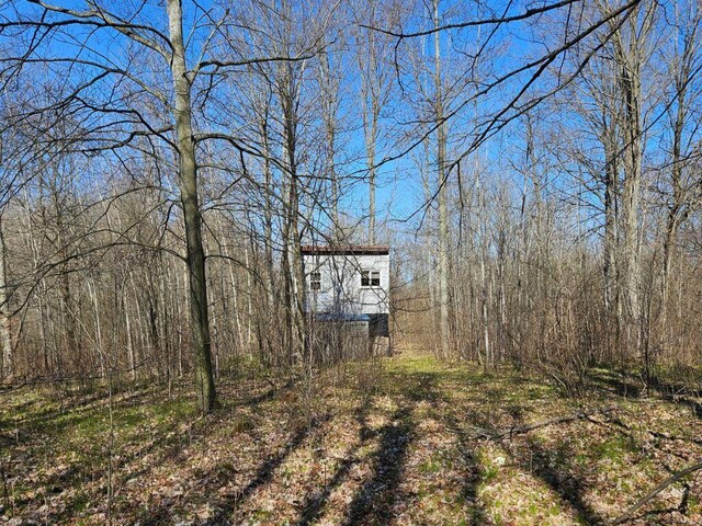 view of yard featuring a view of trees