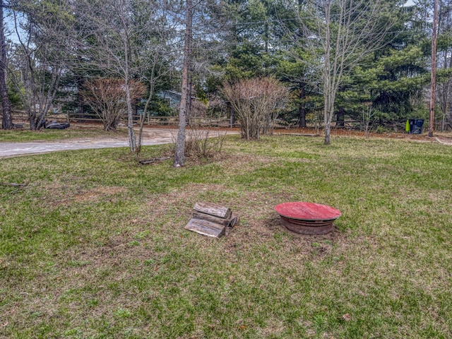 view of yard