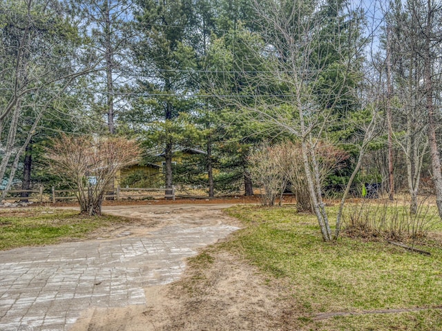 view of yard with dirt driveway
