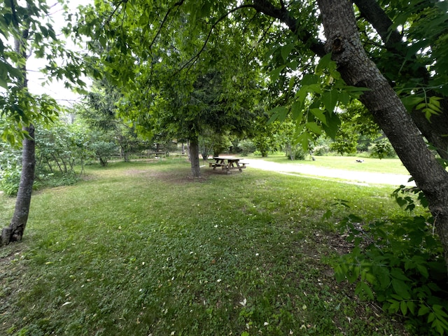 1559 Willett Rd, Saint Helen, MI 48656 - photo 3