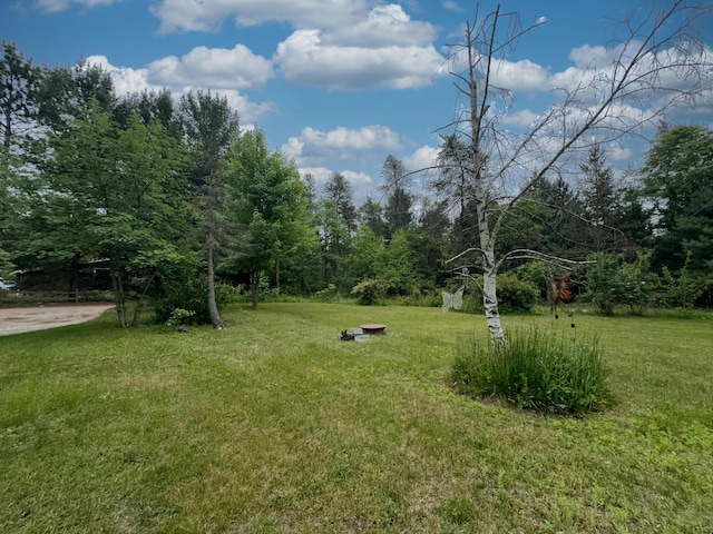 1559 Willett Rd, Saint Helen, MI 48656 - photo 4