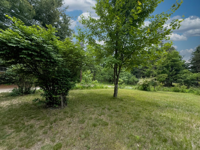 1559 Willett Rd, Saint Helen, MI 48656 - photo 45