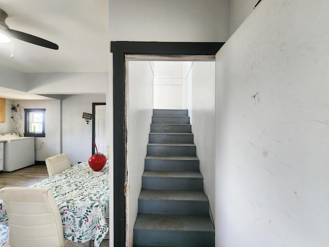 staircase with a ceiling fan, wood finished floors, and washer / dryer
