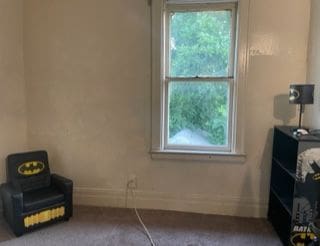 3015 Van Dyke St, Detroit, MI 48214 - sitting room featuring a wealth of natural light and baseboards