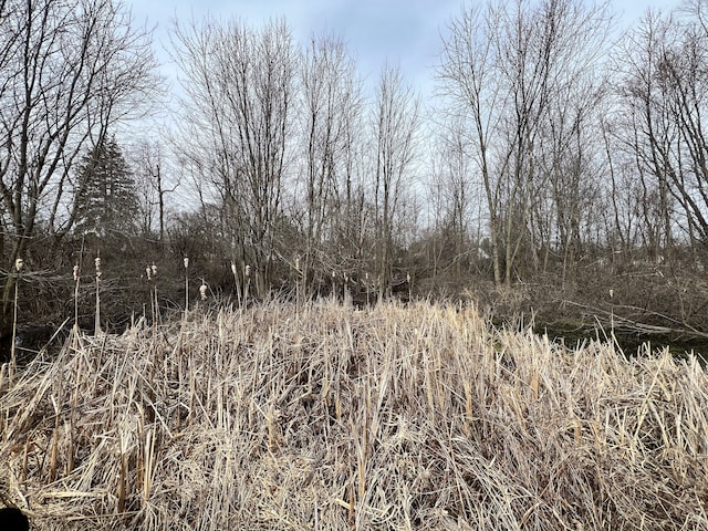 view of nature