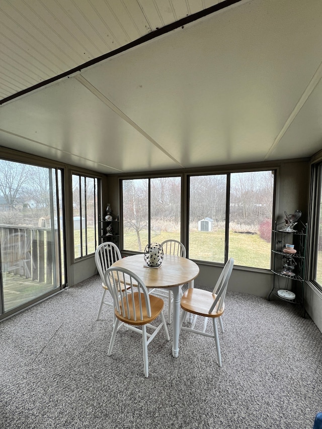 sunroom / solarium featuring carpet floors and a wealth of natural light