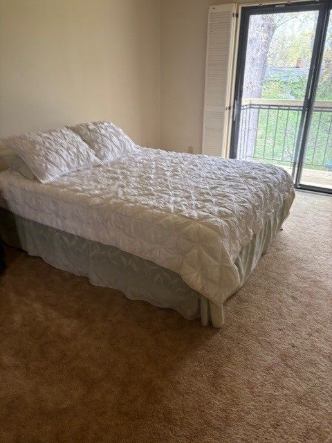 bedroom featuring carpet floors, multiple windows, and access to exterior
