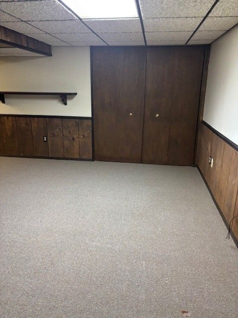 finished basement featuring light colored carpet, wood walls, wainscoting, and a paneled ceiling