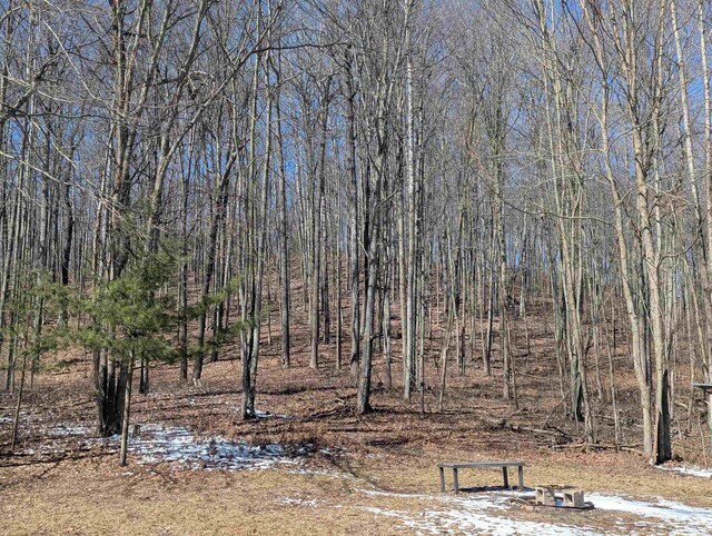 5799 W Deer Trl, Curran, MI 48728