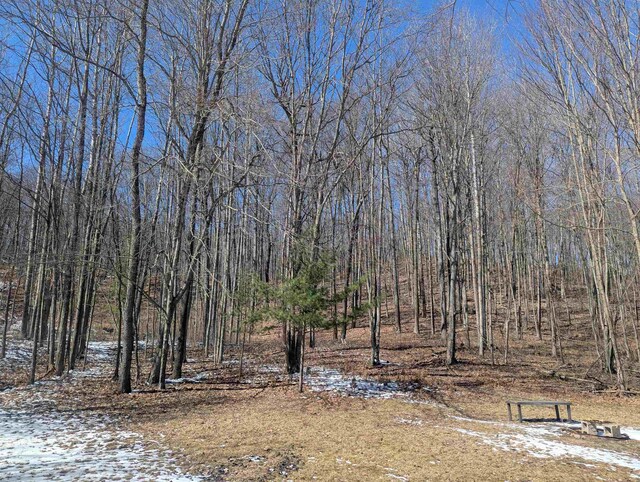 5799 W Deer Trl, Curran, MI 48728