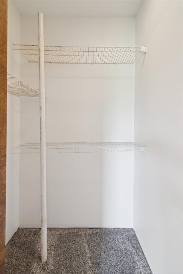 7996 Cain Rd, Jackson, MI 49201 - walk in closet featuring carpet flooring