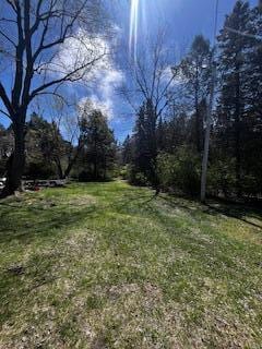 600 Benson Rd, Benton Harbor, MI 49022 - view of yard