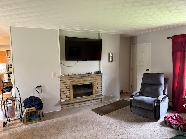 5346 E H Ave, Kalamazoo, MI 49048 - living room featuring a glass covered fireplace, a baseboard heating unit, crown molding, and carpet