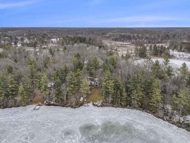 bird's eye view with a forest view