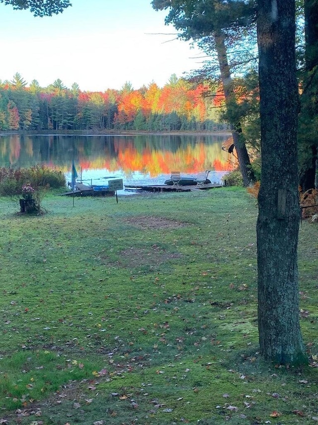 view of home's community featuring a lawn, a water view, and a forest view