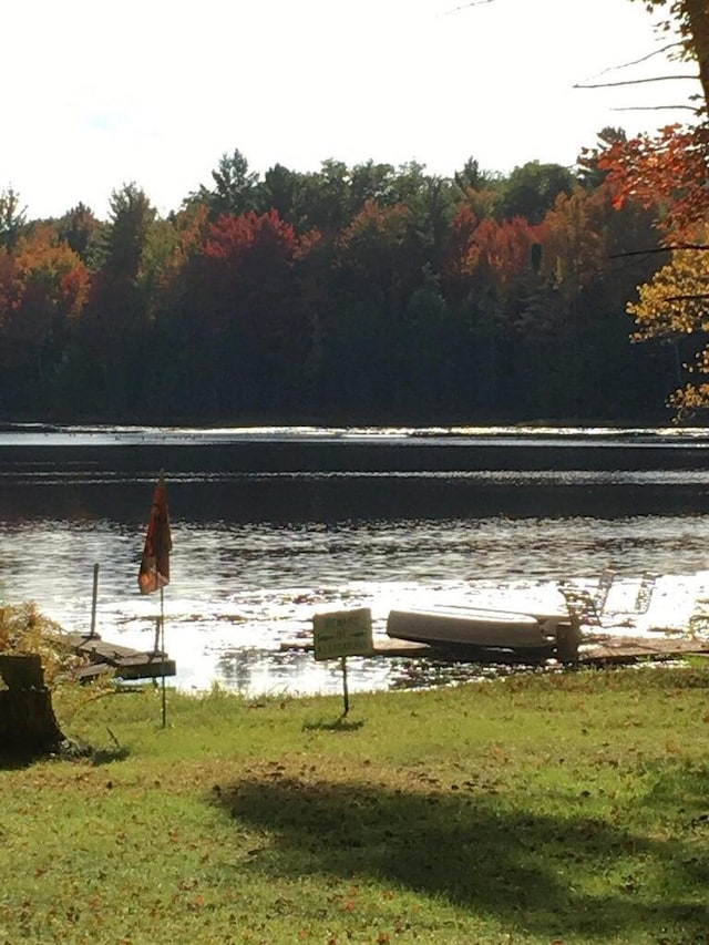 view of water feature featuring a view of trees