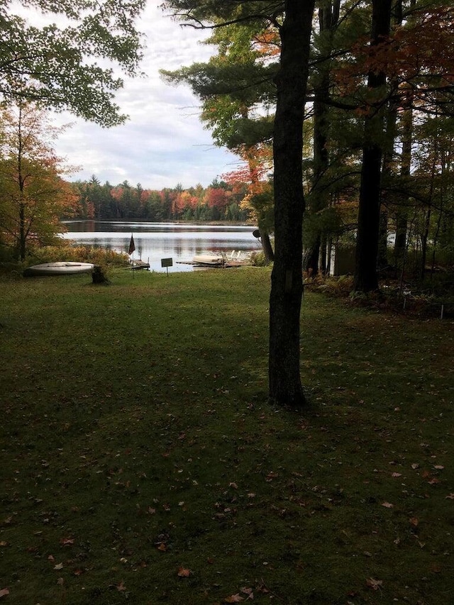 view of yard featuring a water view and a view of trees
