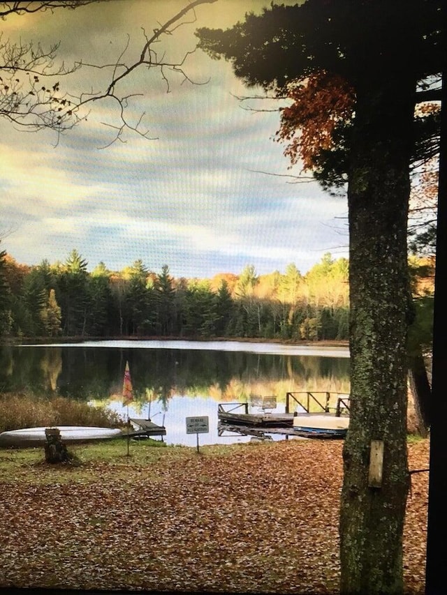 surrounding community featuring a water view and a forest view