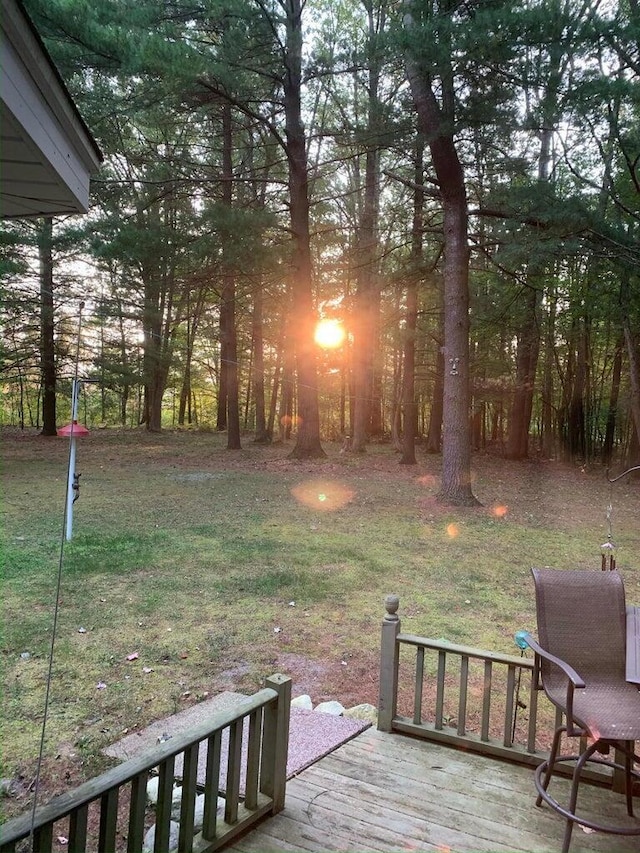 view of yard