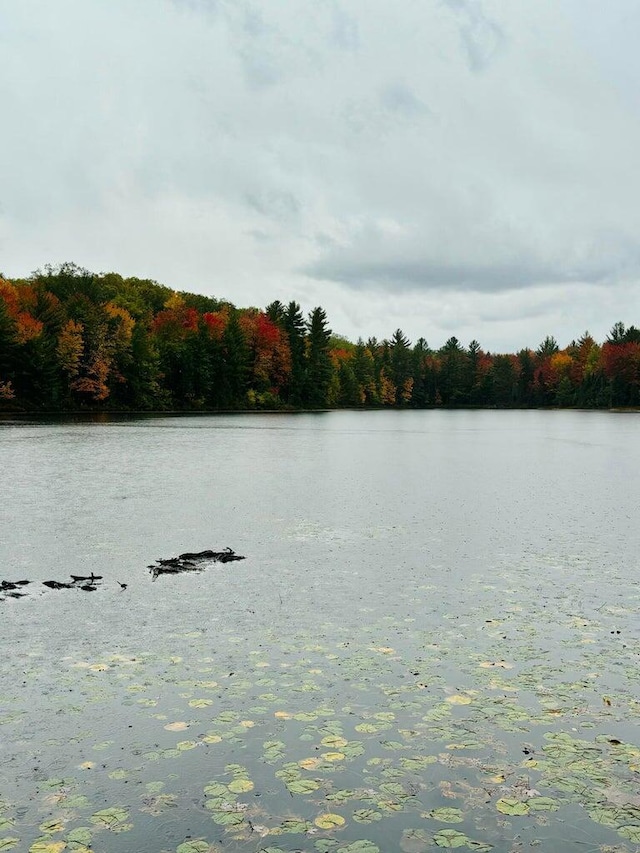 water view featuring a forest view