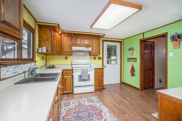 67025 Oxbow Dr, Constantine, MI 49042 - kitchen with white electric stove, under cabinet range hood, light countertops, a sink, and light wood-type flooring