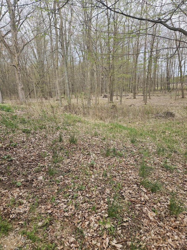view of local wilderness featuring a wooded view