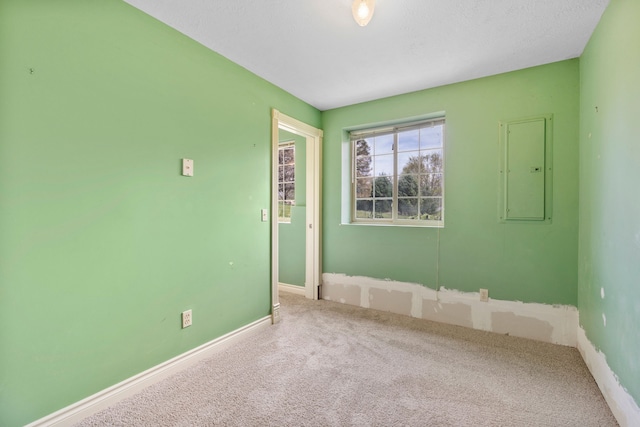 empty room featuring baseboards, carpet, and electric panel