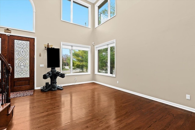 foyer entrance featuring baseboards, a high ceiling, and wood finished floors