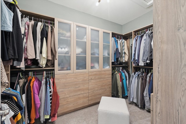spacious closet featuring carpet flooring