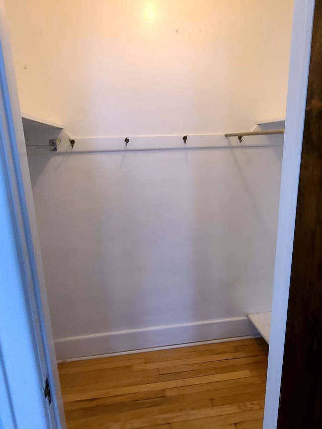 spacious closet featuring wood finished floors