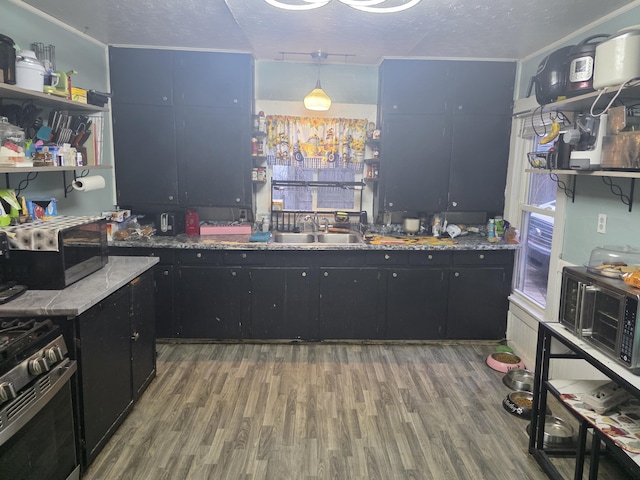 kitchen featuring wood finished floors, dark cabinets, open shelves, a sink, and range with gas cooktop