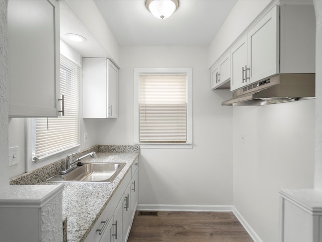 22625 Oaklane St, Warren, MI 48089 - kitchen featuring visible vents, a sink, baseboards, under cabinet range hood, and dark wood-type flooring