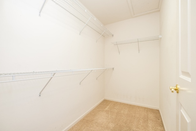spacious closet with light colored carpet