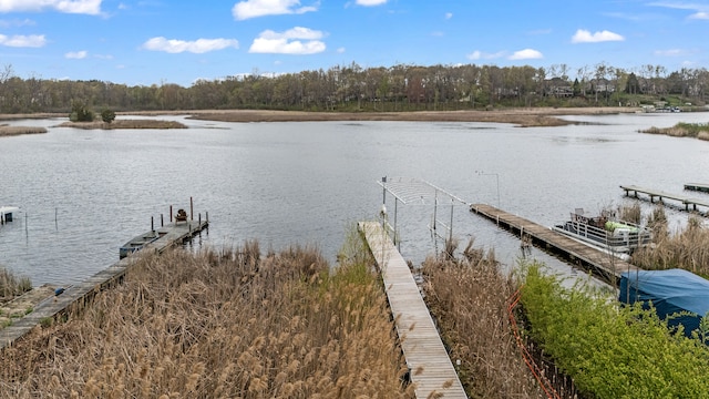 5027 Grover Dr, Brighton, MI 48116 - dock area featuring a water view