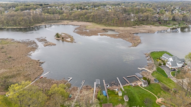 5027 Grover Dr, Brighton, MI 48116 - drone / aerial view with a water view and a forest view