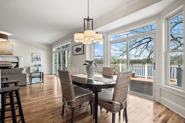 5027 Grover Dr, Brighton, MI 48116 - dining space with a notable chandelier, baseboards, a water view, crown molding, and light wood-style floors