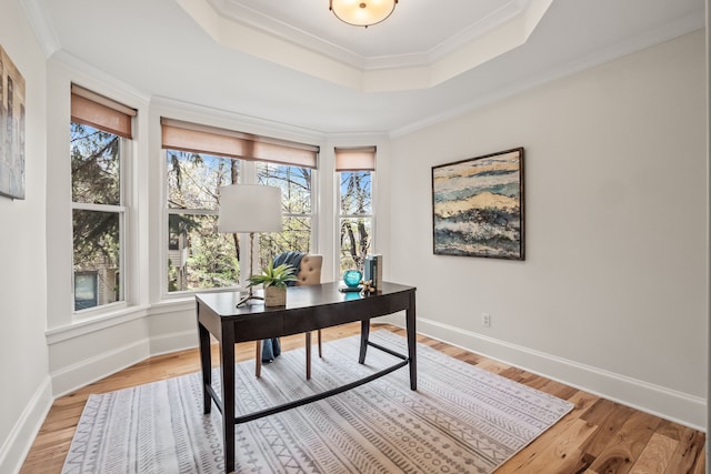 5027 Grover Dr, Brighton, MI 48116 - home office featuring a tray ceiling, plenty of natural light, baseboards, and light wood-type flooring