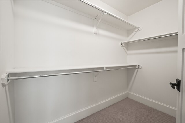 5027 Grover Dr, Brighton, MI 48116 - walk in closet featuring carpet flooring