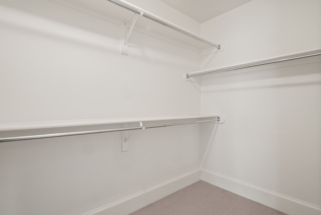 5027 Grover Dr, Brighton, MI 48116 - walk in closet featuring carpet floors