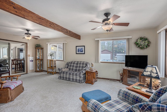 2400 Curtis Rd, National City, MI 48748 - photo 16