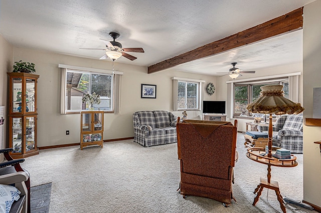2400 Curtis Rd, National City, MI 48748 - photo 11