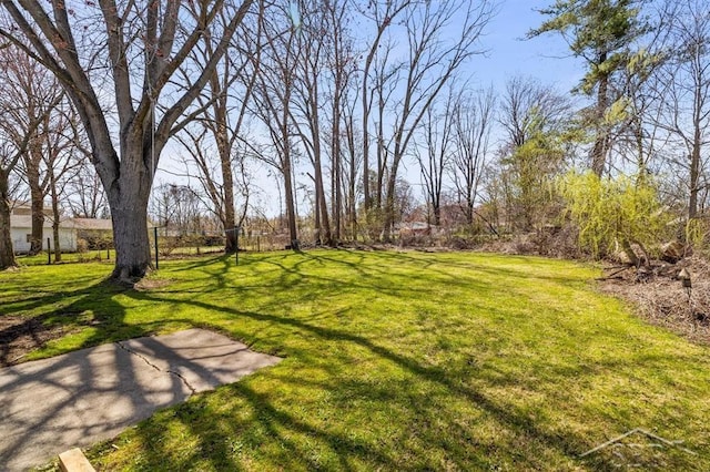 view of yard