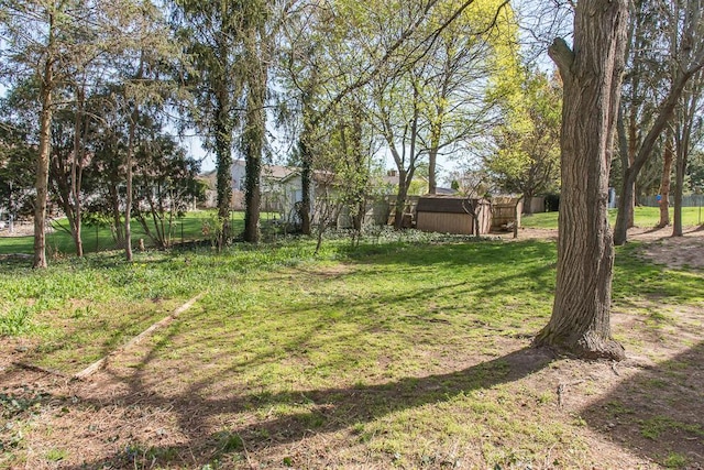 view of yard featuring a storage unit and an outdoor structure