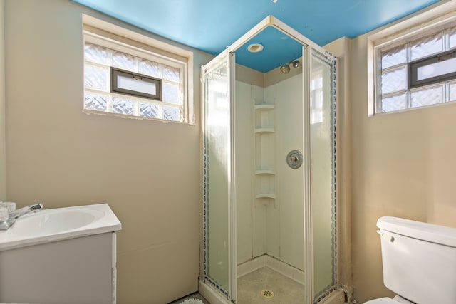 full bathroom featuring vanity, a stall shower, and toilet