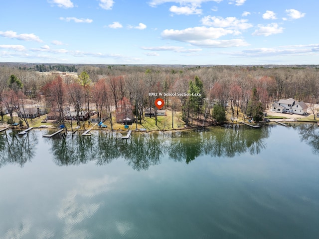 aerial view with a water view and a view of trees