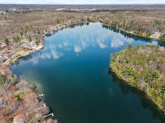 aerial view with a water view and a forest view