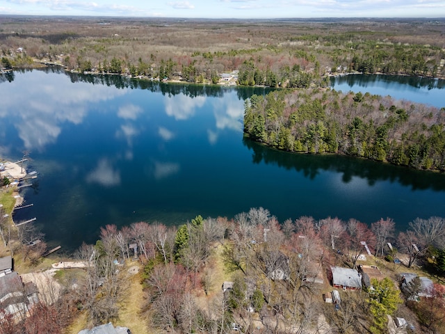 birds eye view of property with a water view and a wooded view