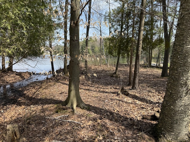 view of nature