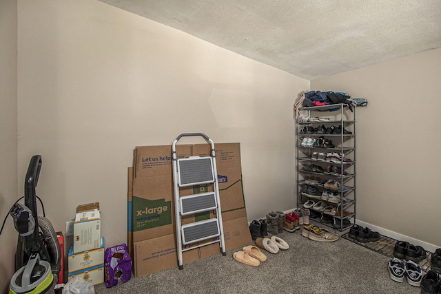 view of storage room